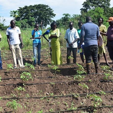 Young people taking lessons in climate resillient agriculture