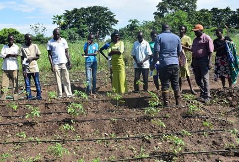 Young people taking lessons in climate resillient agriculture