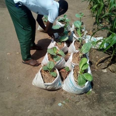 David practicing agroecology